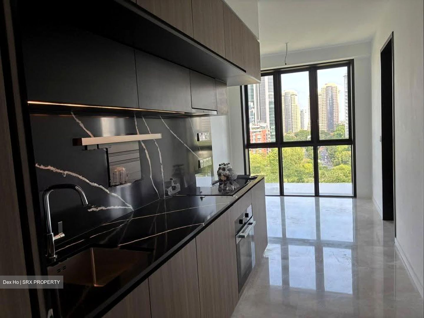 Irwell Hill Residences (D9), Apartment #615217641